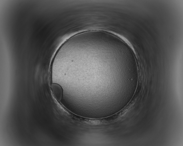 X0000085730911200703231045