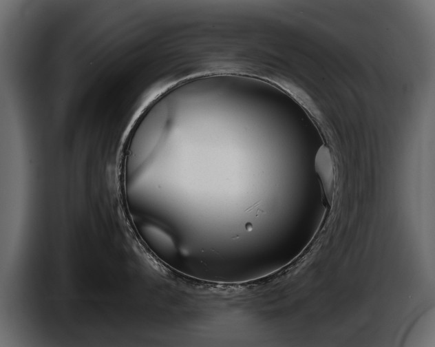 X0000085730912200703231045