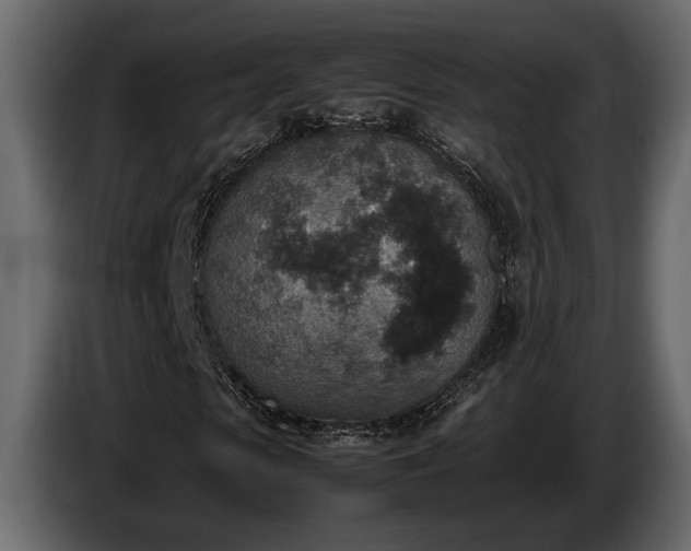 X0000085730913200703231045