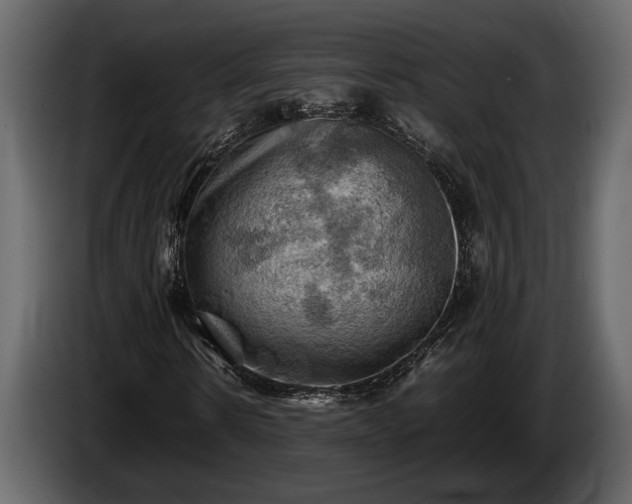 X0000085730914200703231045