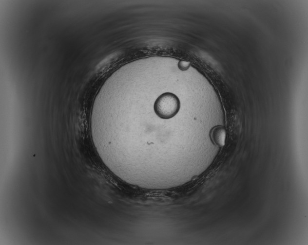 X0000085730918200703231045