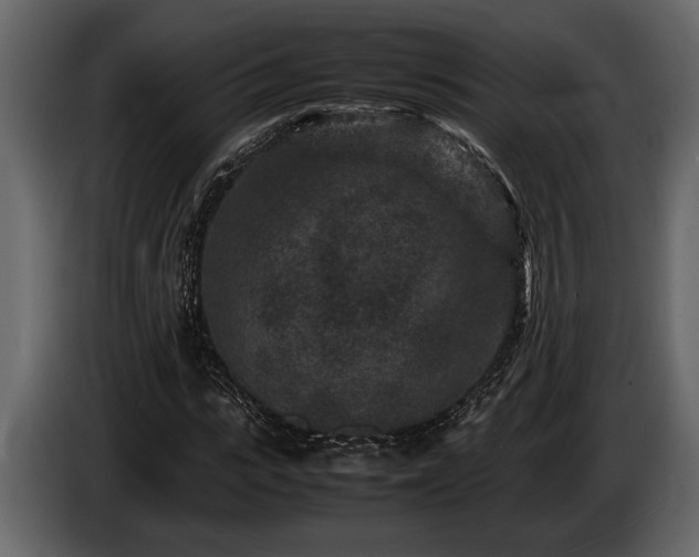 X0000085730919200703231045