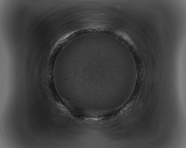 X0000085730920200703231045