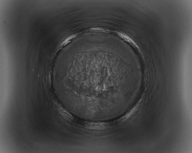 X0000085730921200703231045