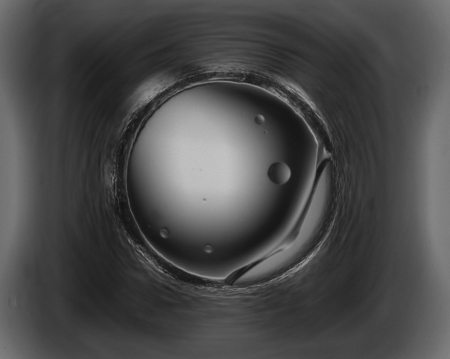 X0000085730922200703231045