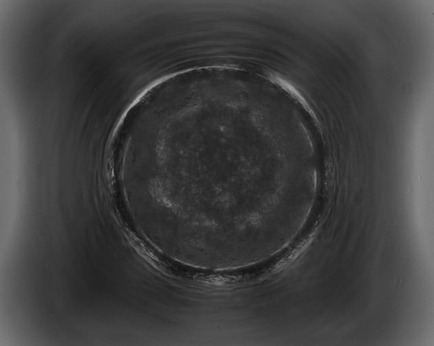 X0000085730923200703231045