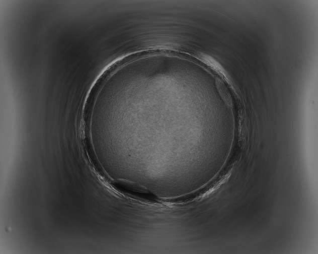 X0000085730924200703231045