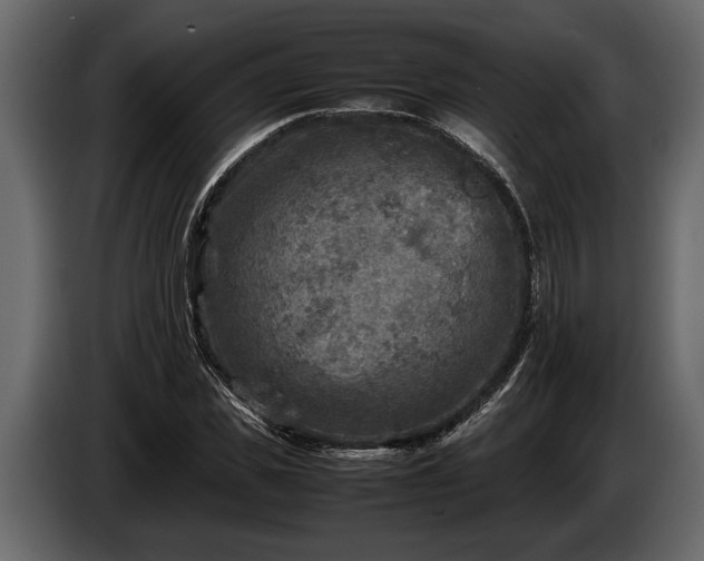 X0000085730925200703231045