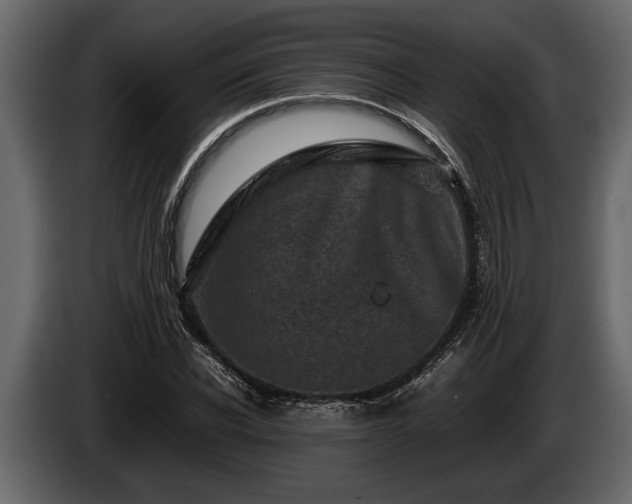 X0000085730926200703231045