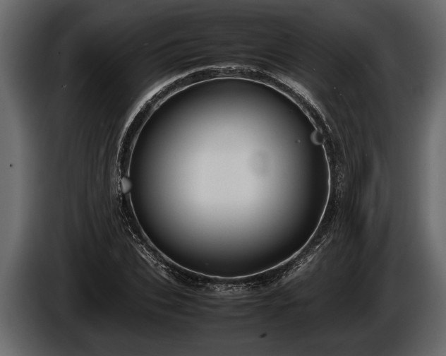 X0000085730927200703231045