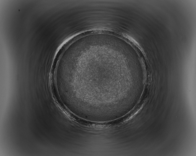 X0000085730928200703231045