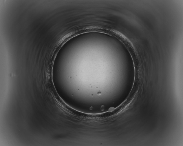 X0000085730929200703231045