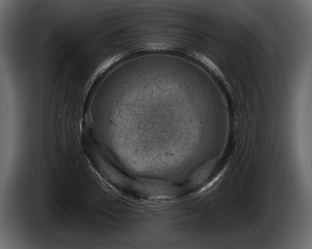 X0000085730930200703231045