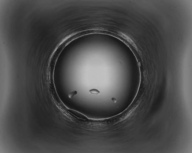 X0000085730931200703231045