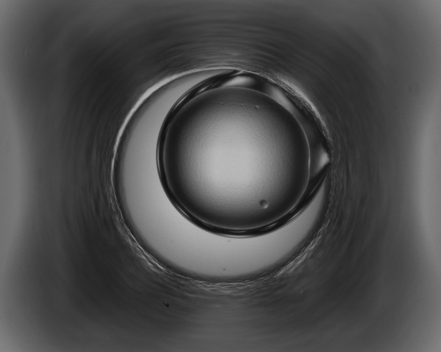 X0000085730932200703231045