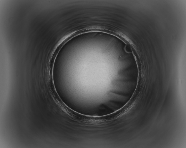 X0000085730933200703231045