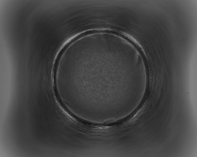 X0000085730935200703231045