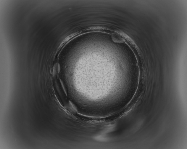 X0000085730937200703231045