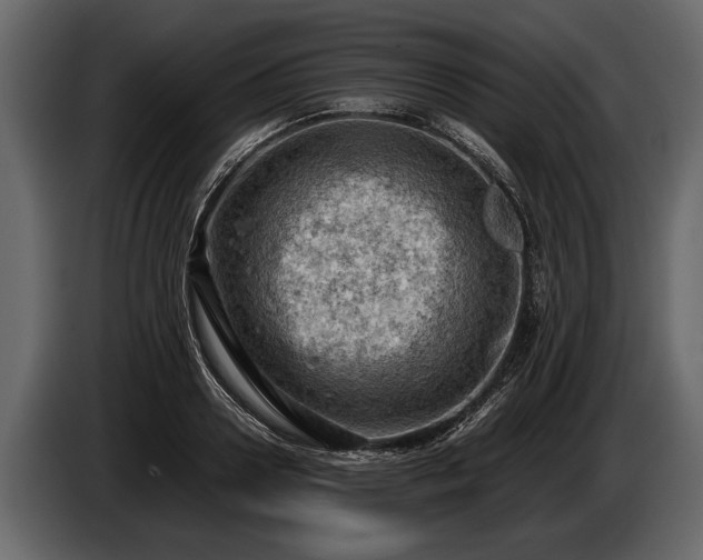 X0000085730938200703231045