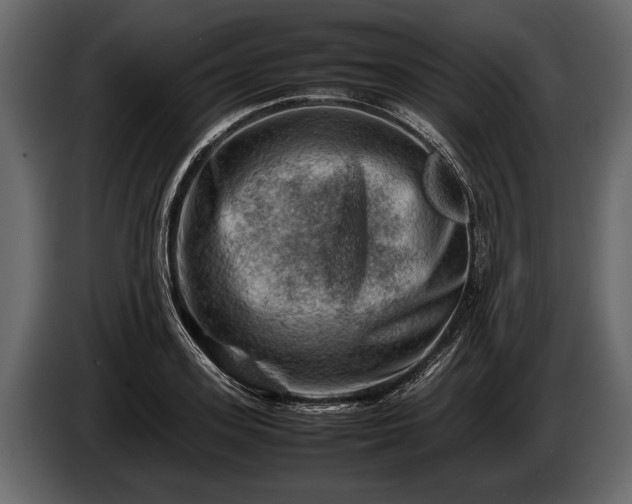 X0000085730939200703231045