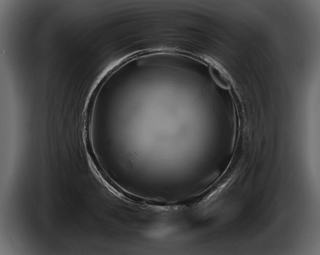 X0000085730941200703231045