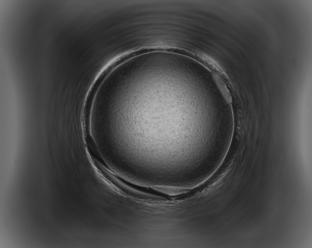 X0000085730942200703231045