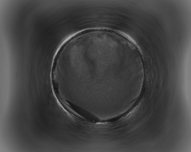 X0000085730943200703231045