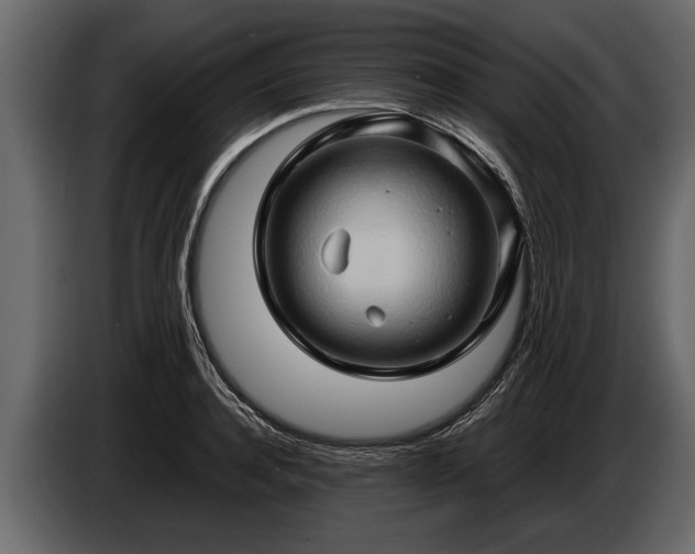 X0000085730944200703231045