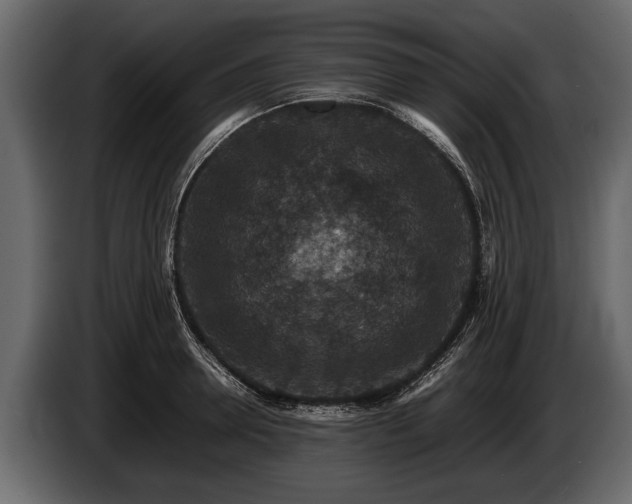 X0000085730946200703231045