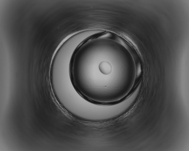 X0000085730948200703231045