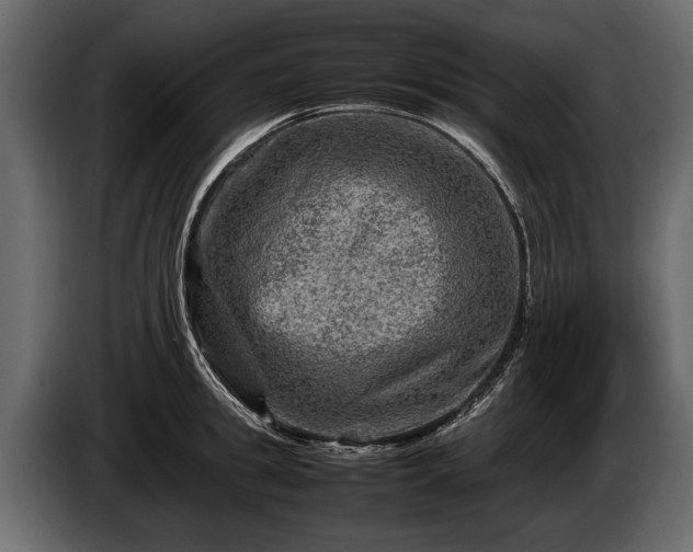 X0000085730949200703231045