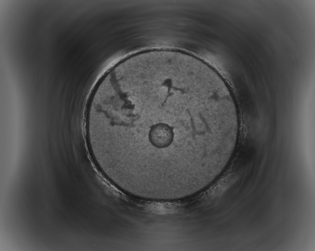 X0000085730950200703231045