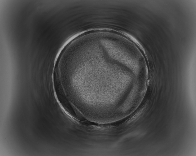 X0000085730951200703231045