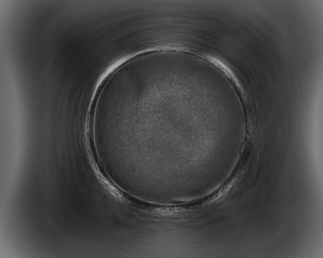 X0000085730952200703231045