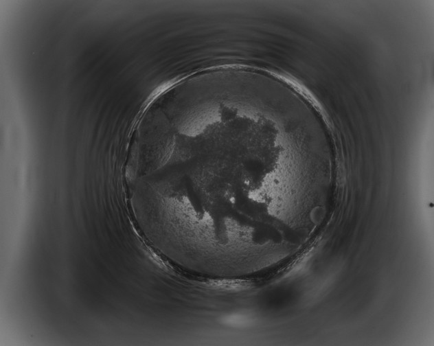 X0000085730953200703231045