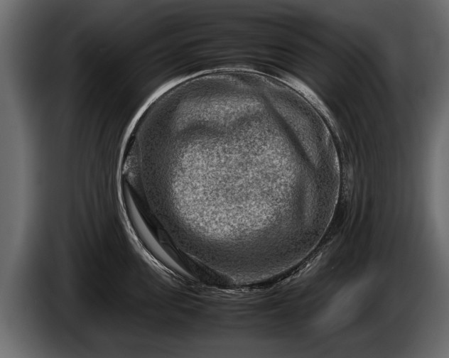 X0000085730955200703231045