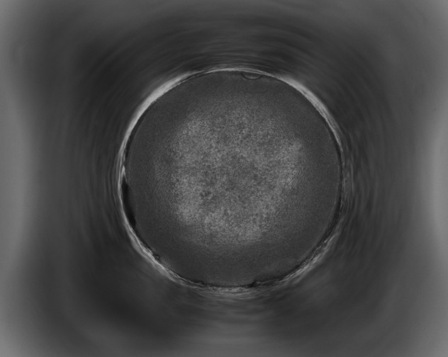 X0000085730957200703231045