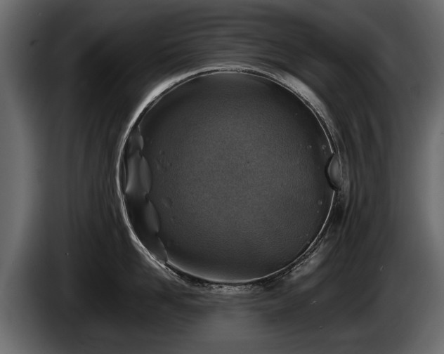 X0000085730958200703231045