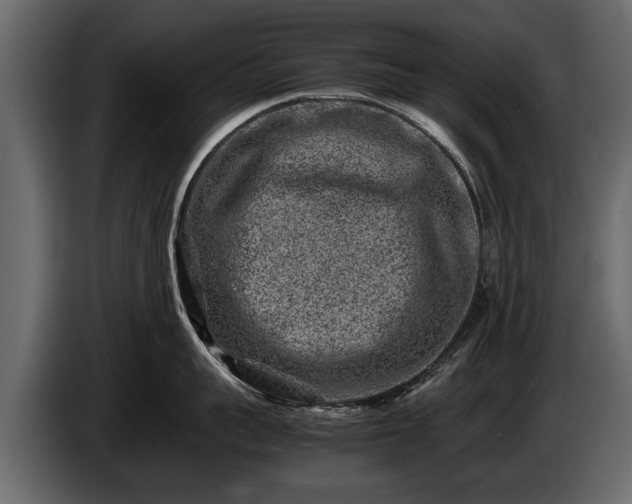 X0000085730959200703231045