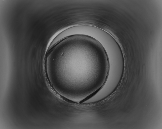 X0000085730960200703231045