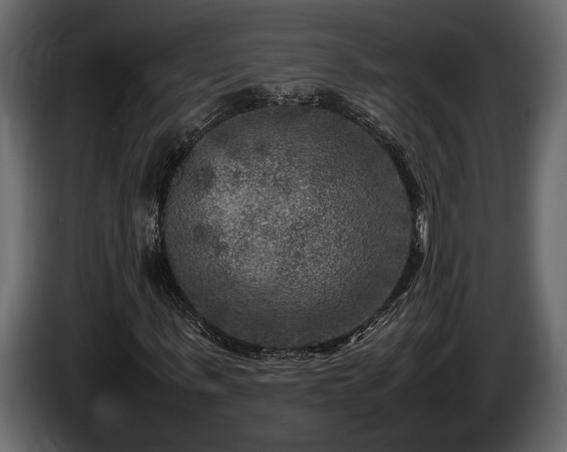 X0000085730963200703231045