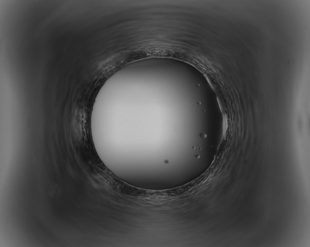 X0000085730964200703231045