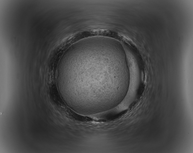 X0000085730965200703231044