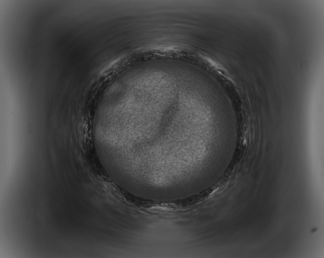 X0000085730966200703231044