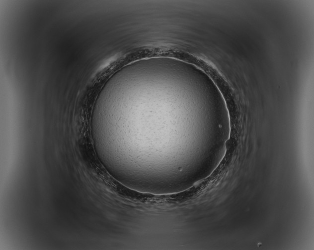 X0000085730967200703231044