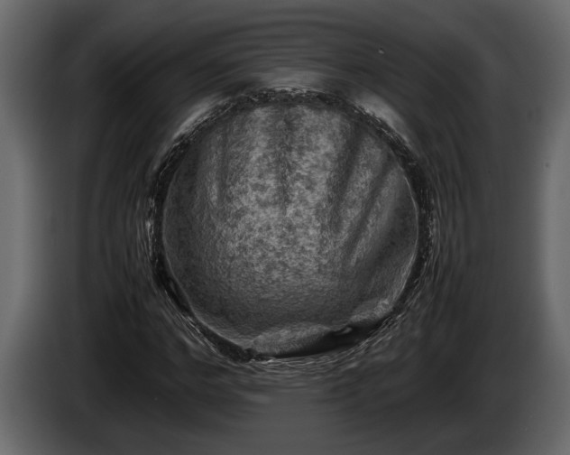 X0000085730968200703231044