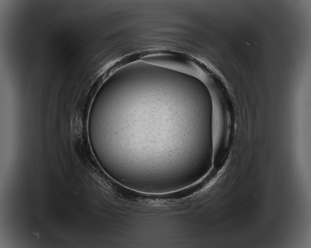 X0000085730969200703231044