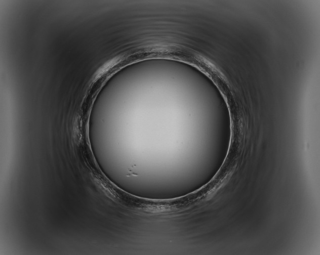 X0000085730970200703231044