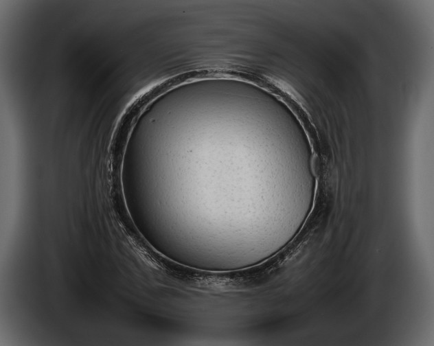 X0000085730971200703231044