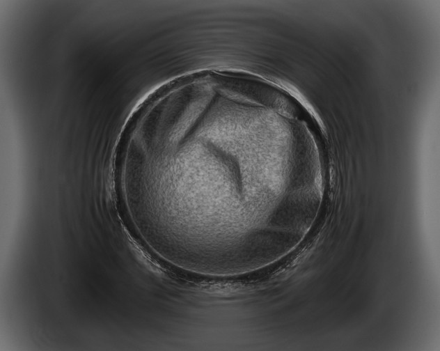 X0000085730972200703231044